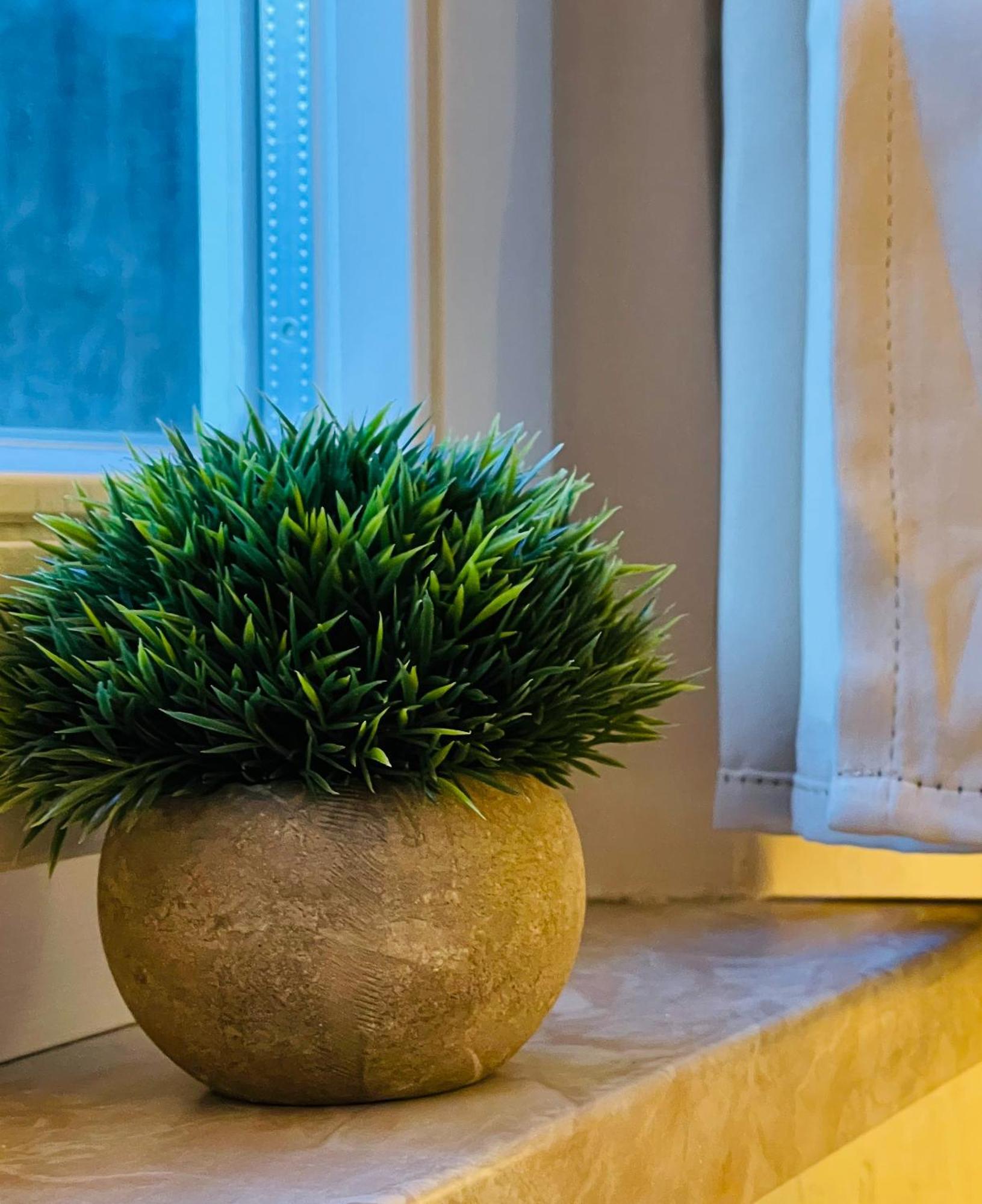 Accommodatie bij particulieren Belino
